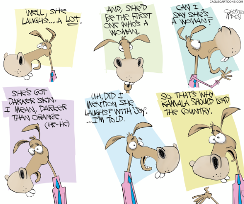 why kamala should lead.png
